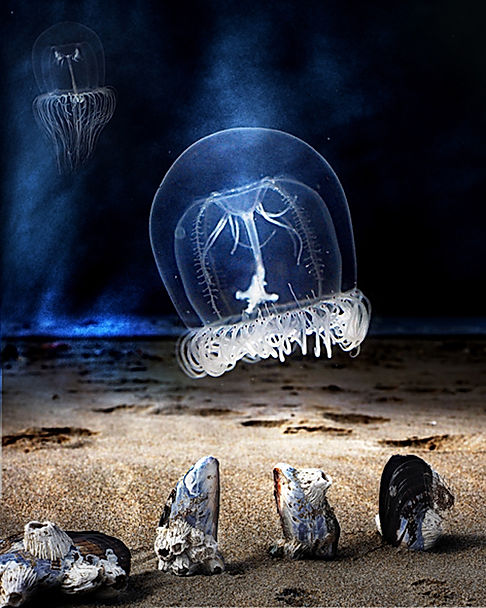 Wir lesen Lyrik&nbsp;…