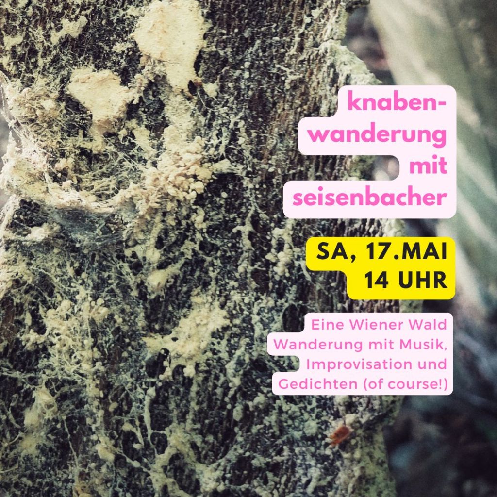 Knabenwanderung & Seisenbacher