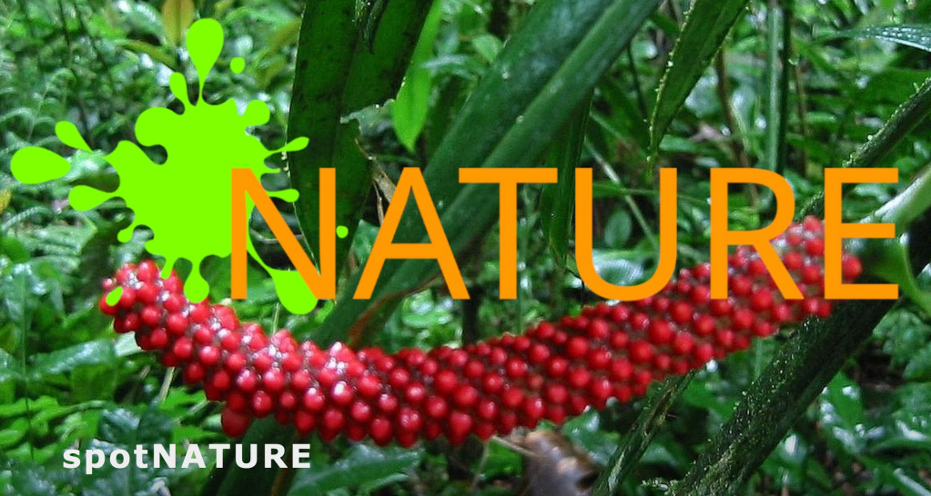 Lyrikpreis: spotNATURE