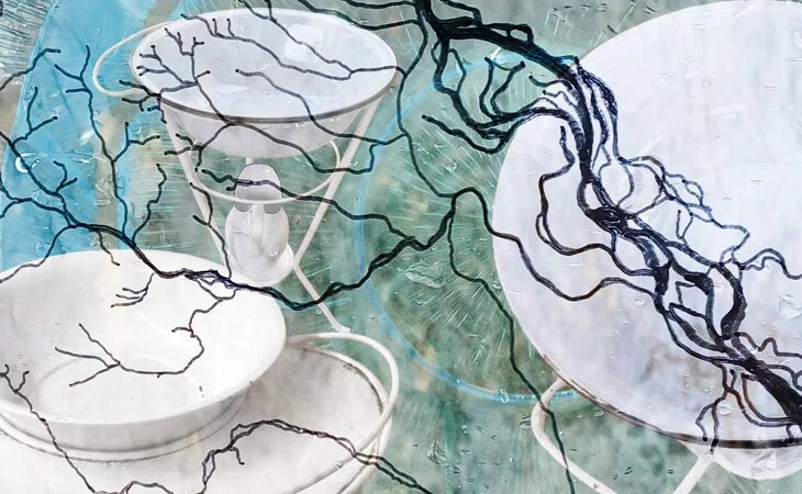 Undercurrents – What Waters&nbsp;Remember